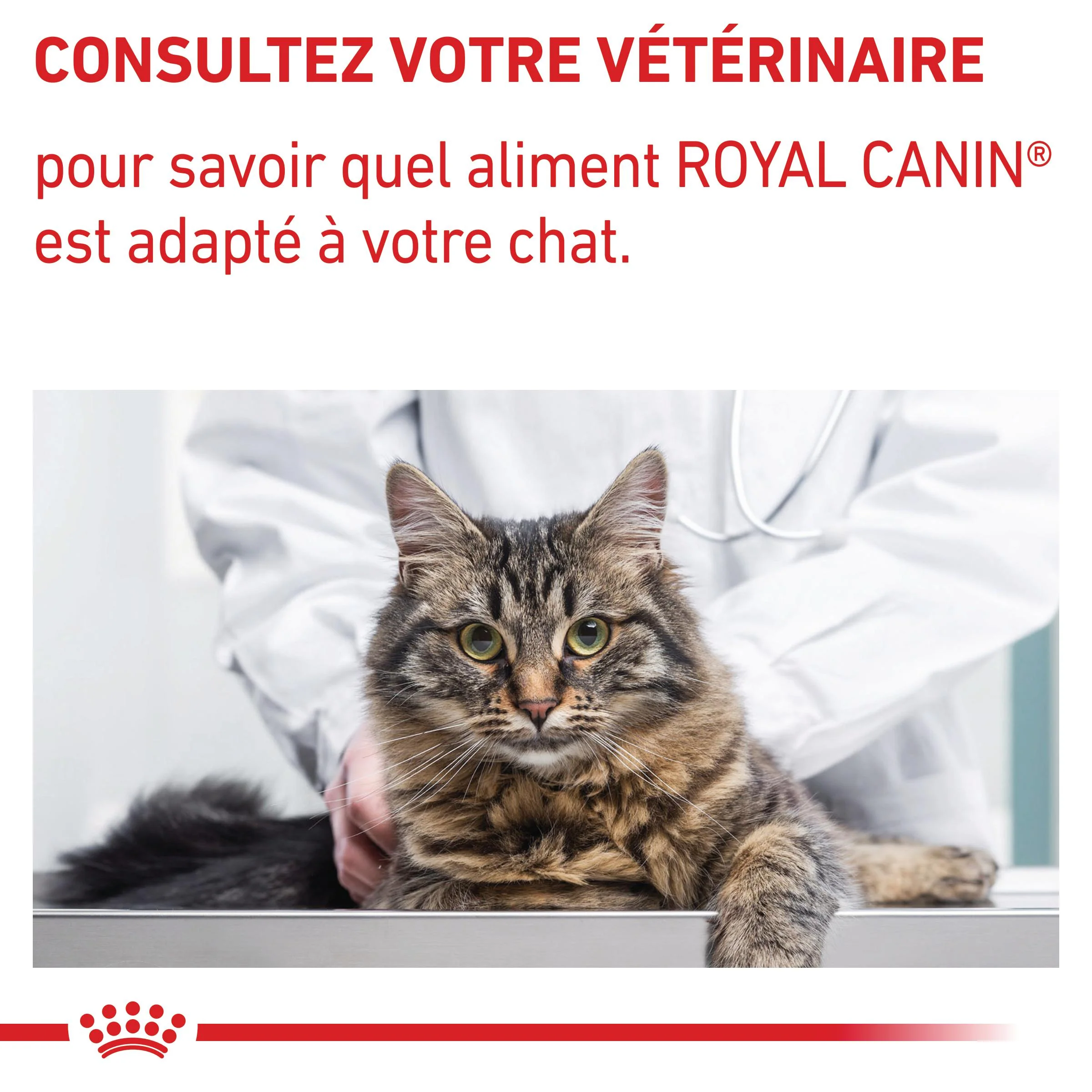 Royal Canin Neutered Balance - pâtée chat - Image 3