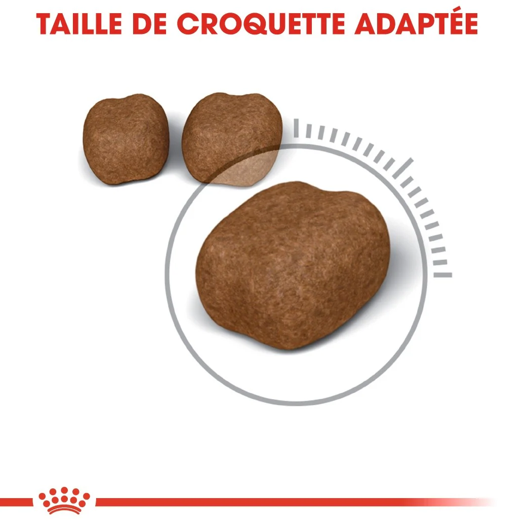 Royal Canin Oral Care - Image 2