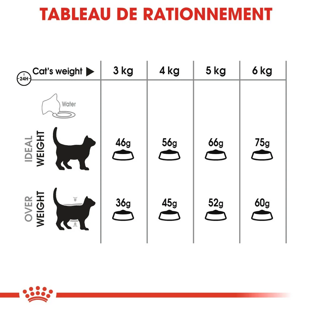 Royal Canin Oral Care - Image 3