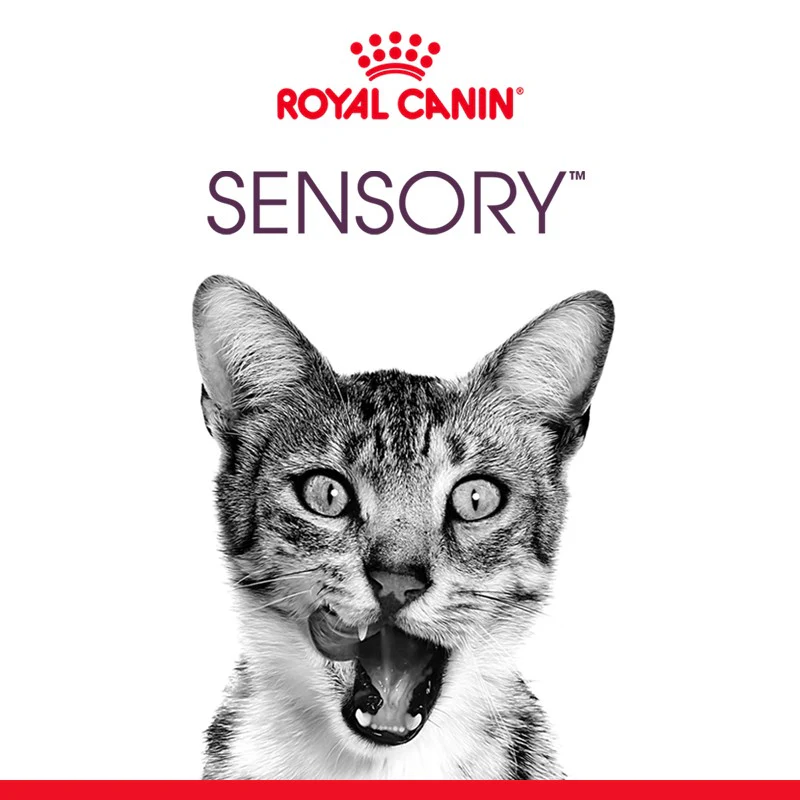 Royal Canin Sensory Feel - Image 5