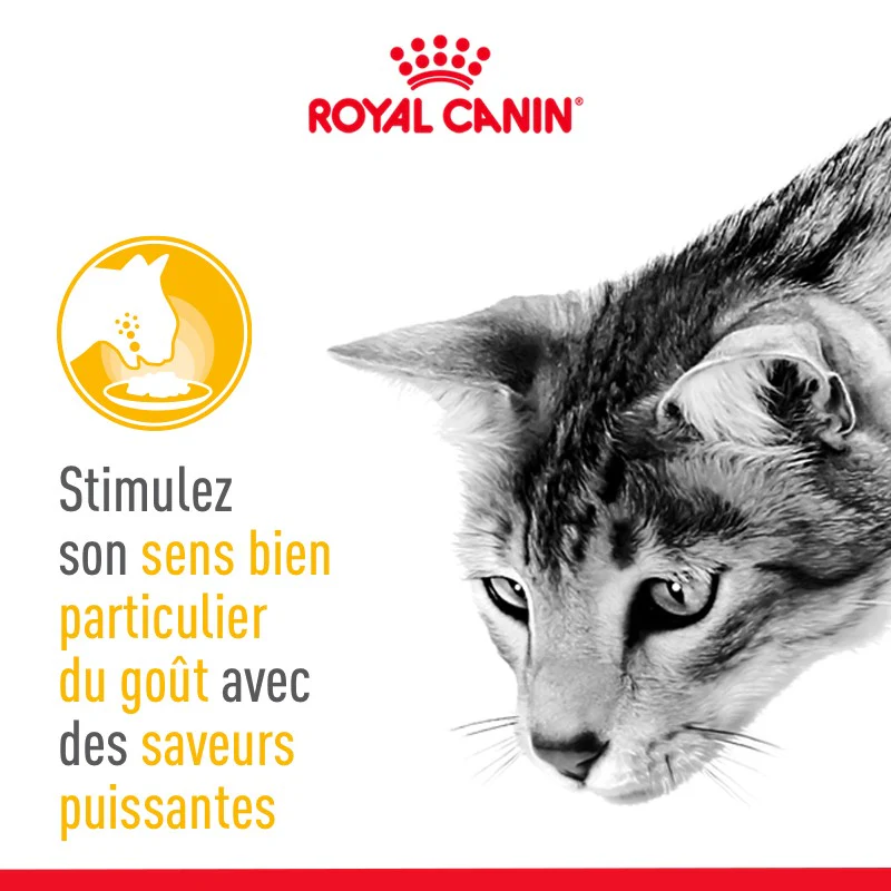 Royal Canin Sensory Taste - Image 5