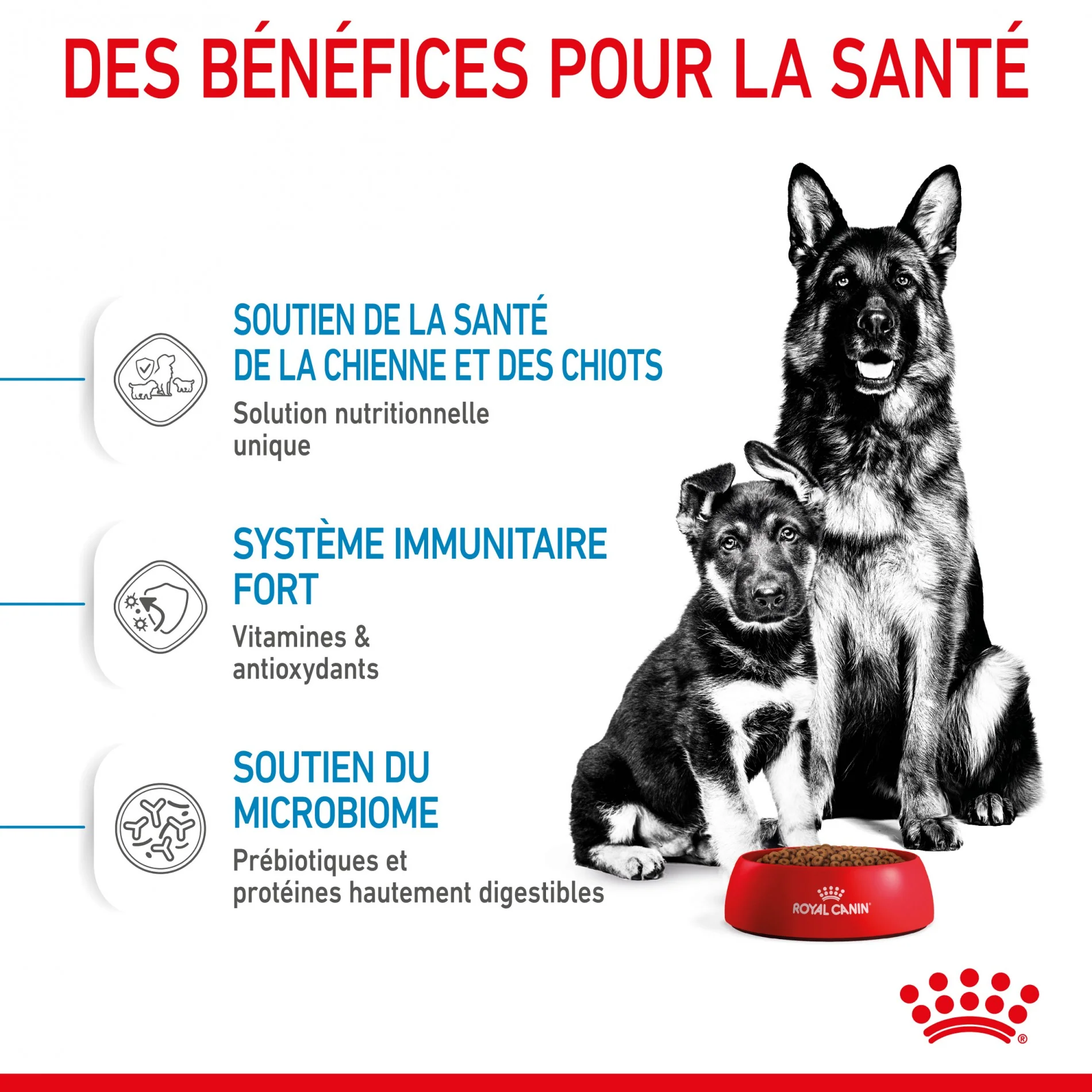ROYAL CANIN Starter Maxi Mother & Babydog - Croquettes pour chiot - Image 6