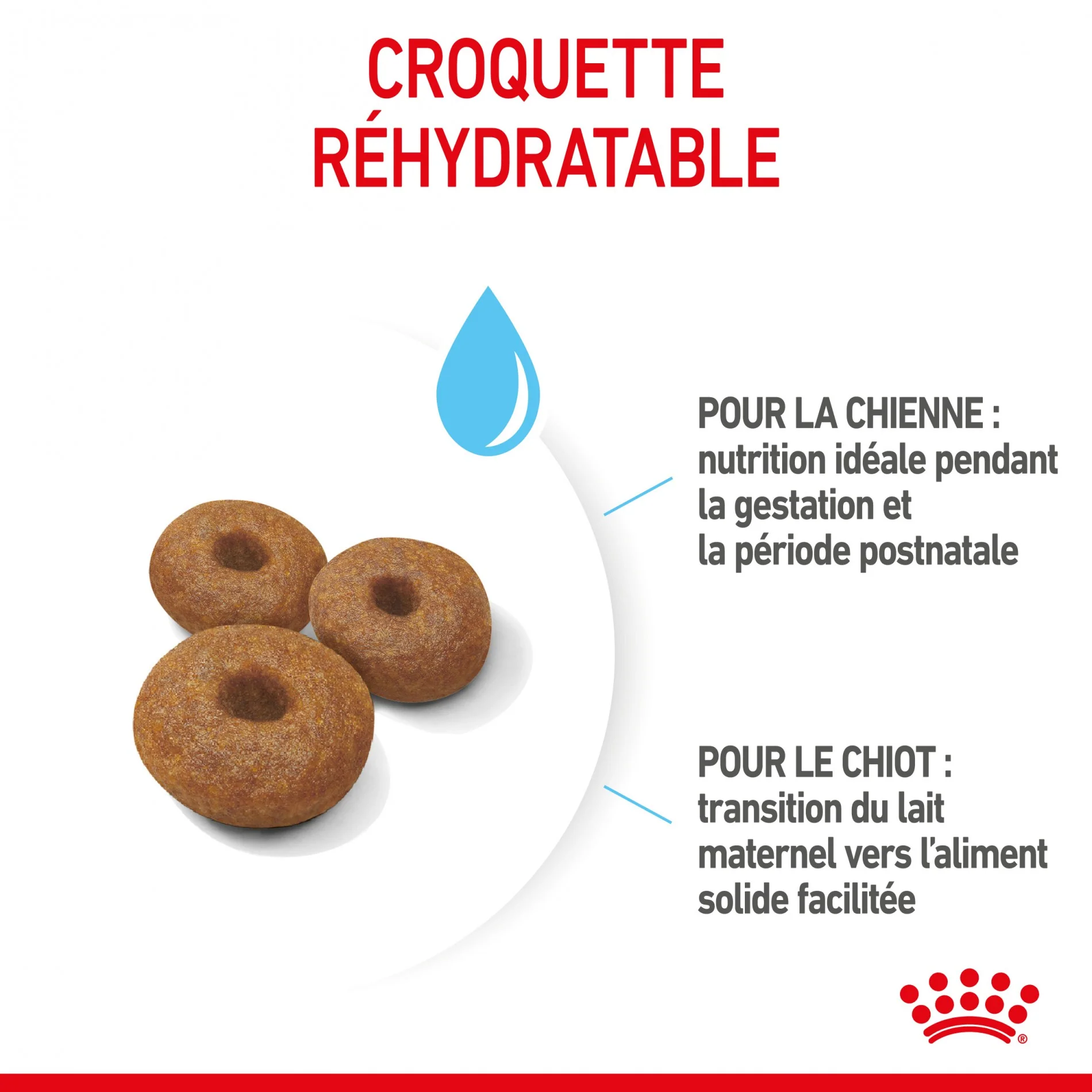 ROYAL CANIN Starter Maxi Mother & Babydog - Croquettes pour chiot - Image 7
