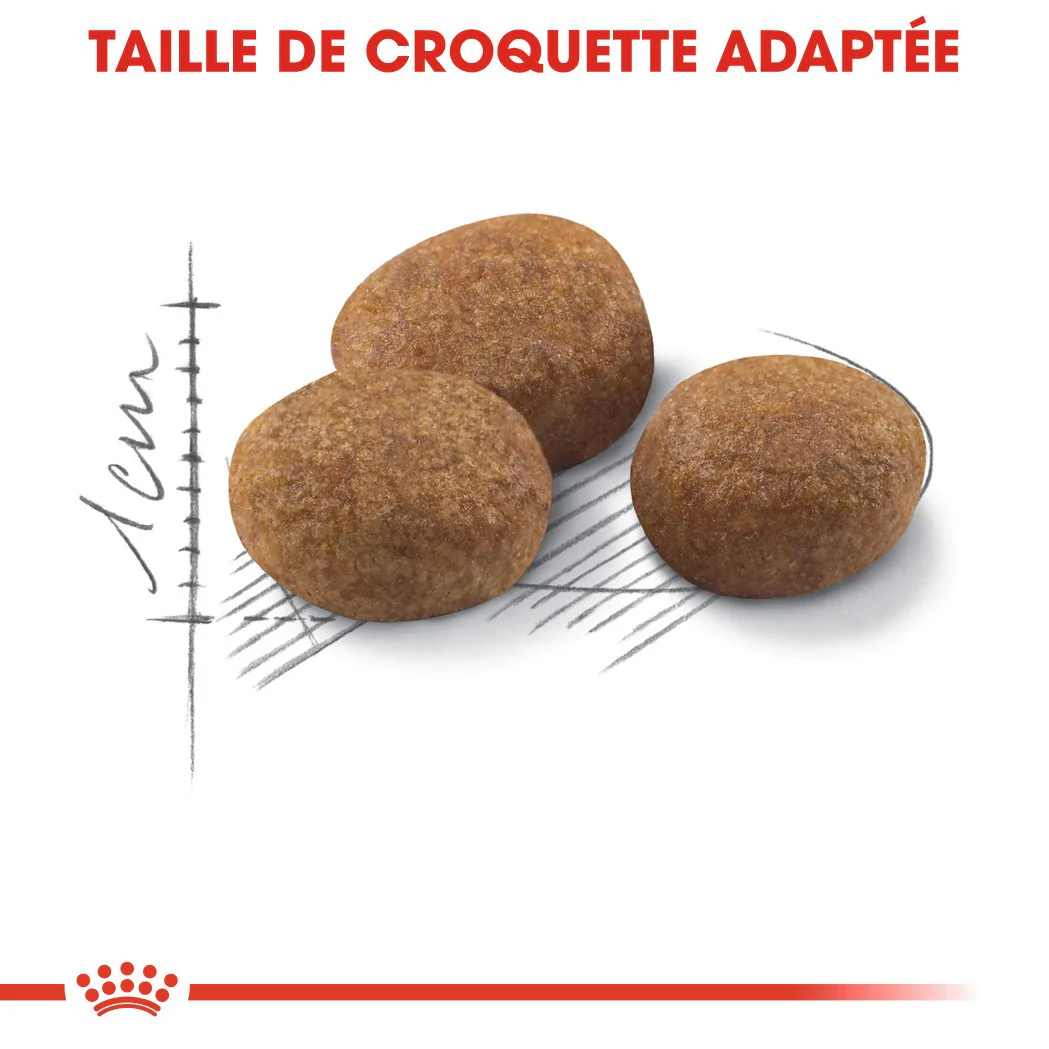 Royal Canin Sterilised 7+ - croquettes chat - Image 4