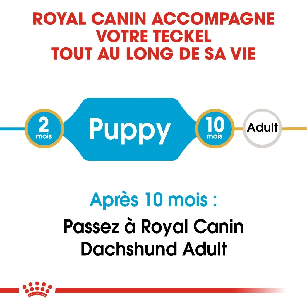 Royal Canin Teckel Puppy (Dachshund) - Image 9