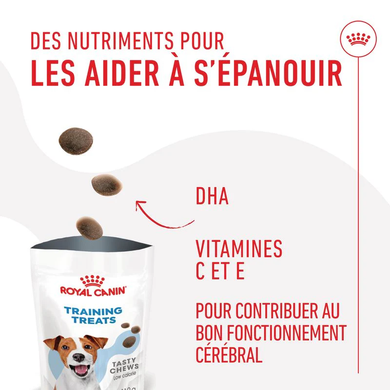 Royal Canin Training Treats pour chien - Image 3