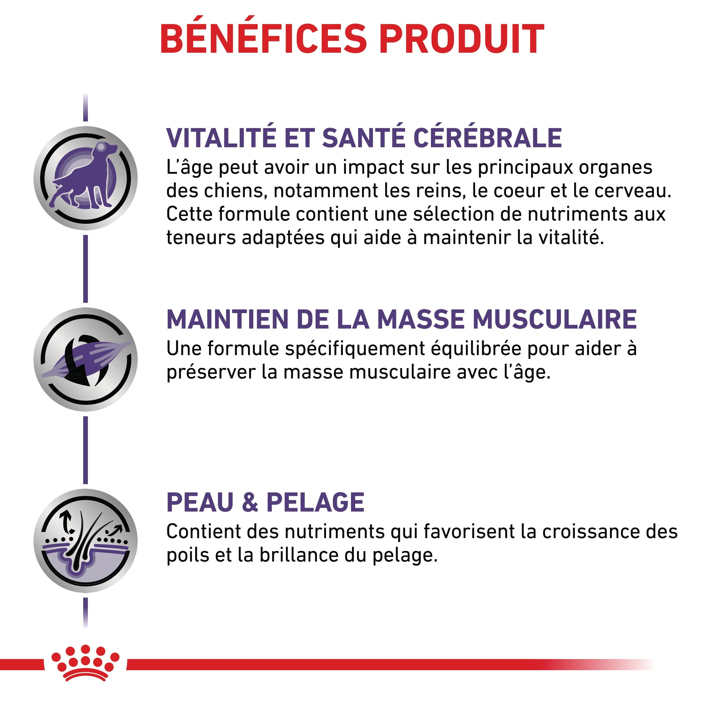 Royal Canin Vet Care Mature Dog - Image 4