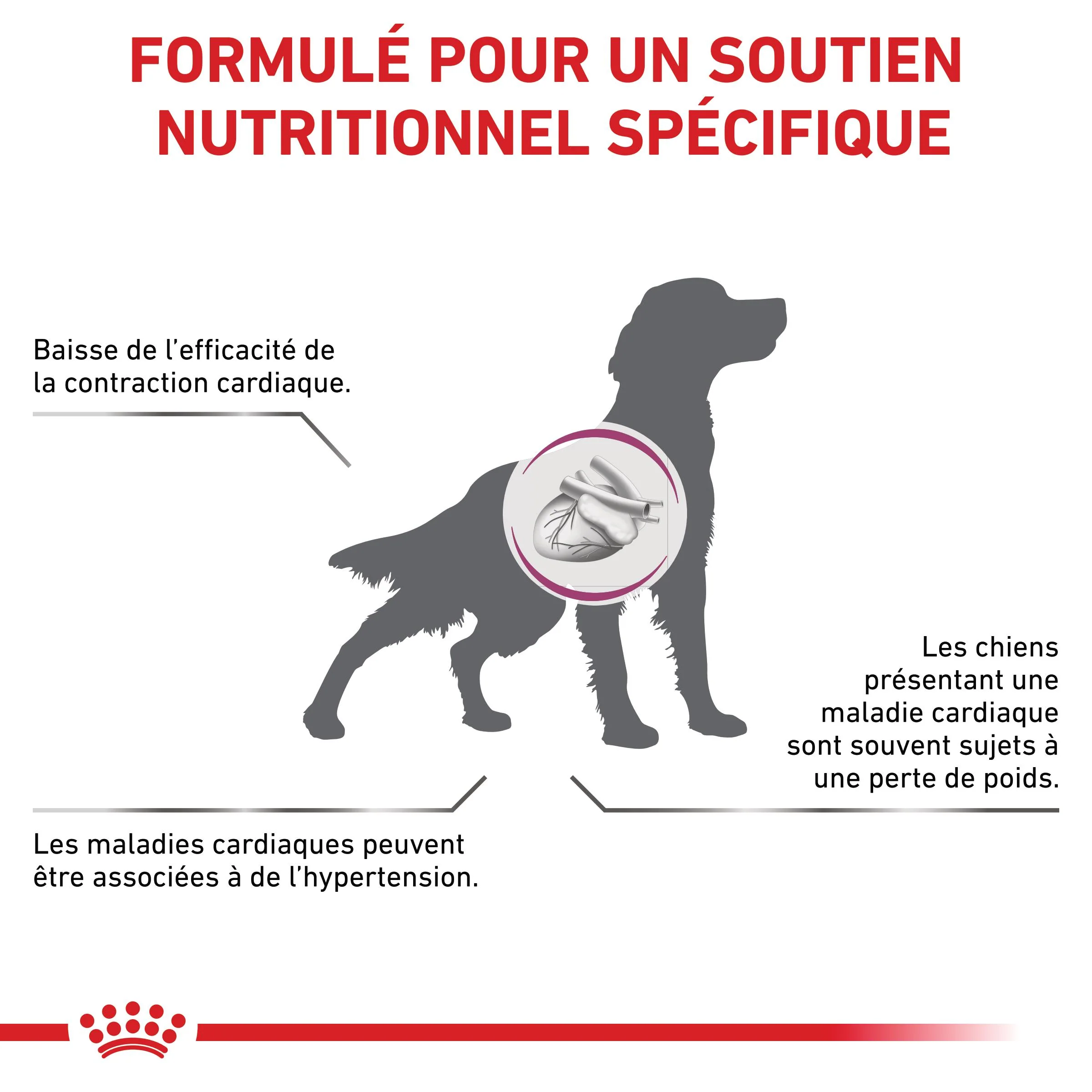 Royal Canin Veterinary Cardiac - Image 8
