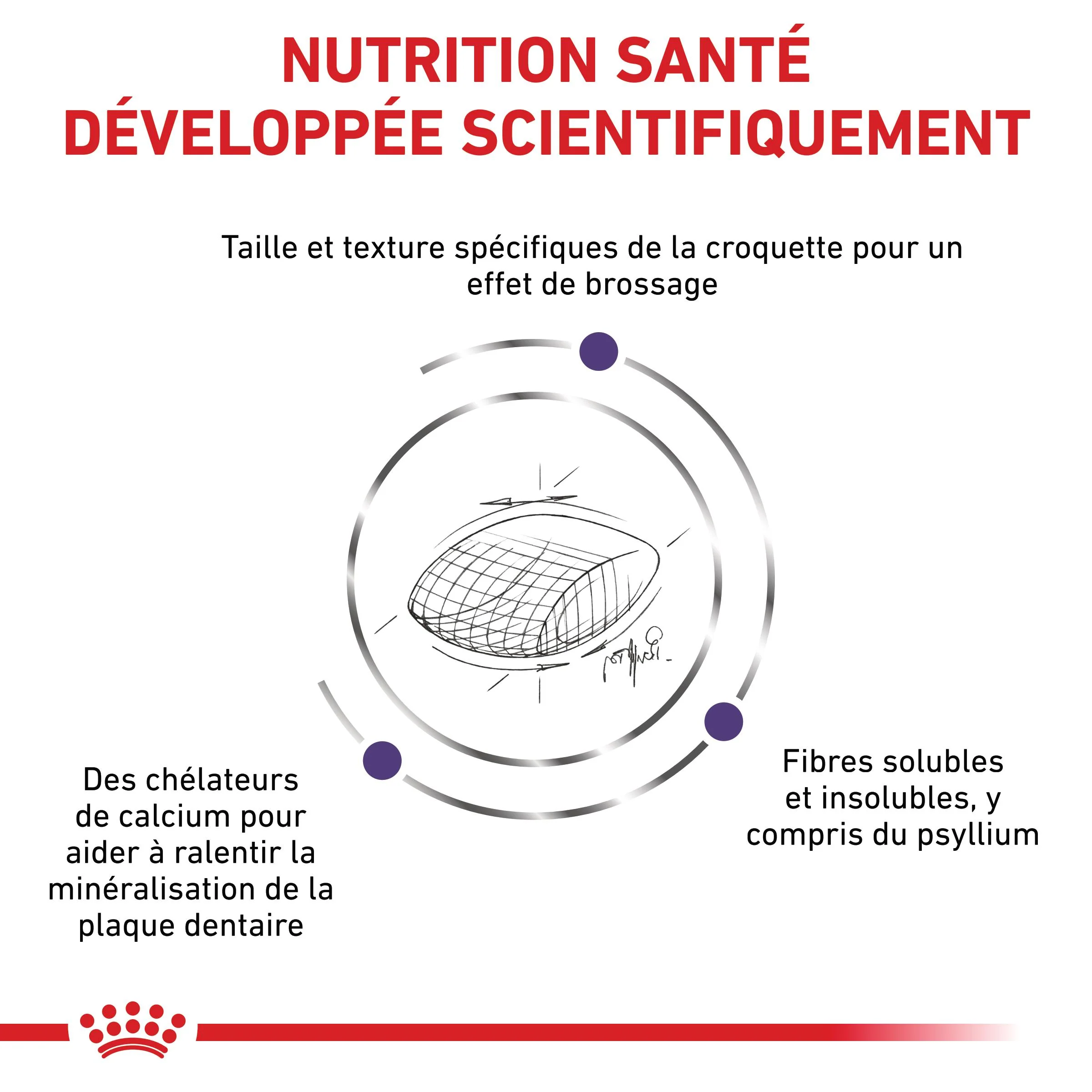 Royal Canin Veterinary Dental - Image 3