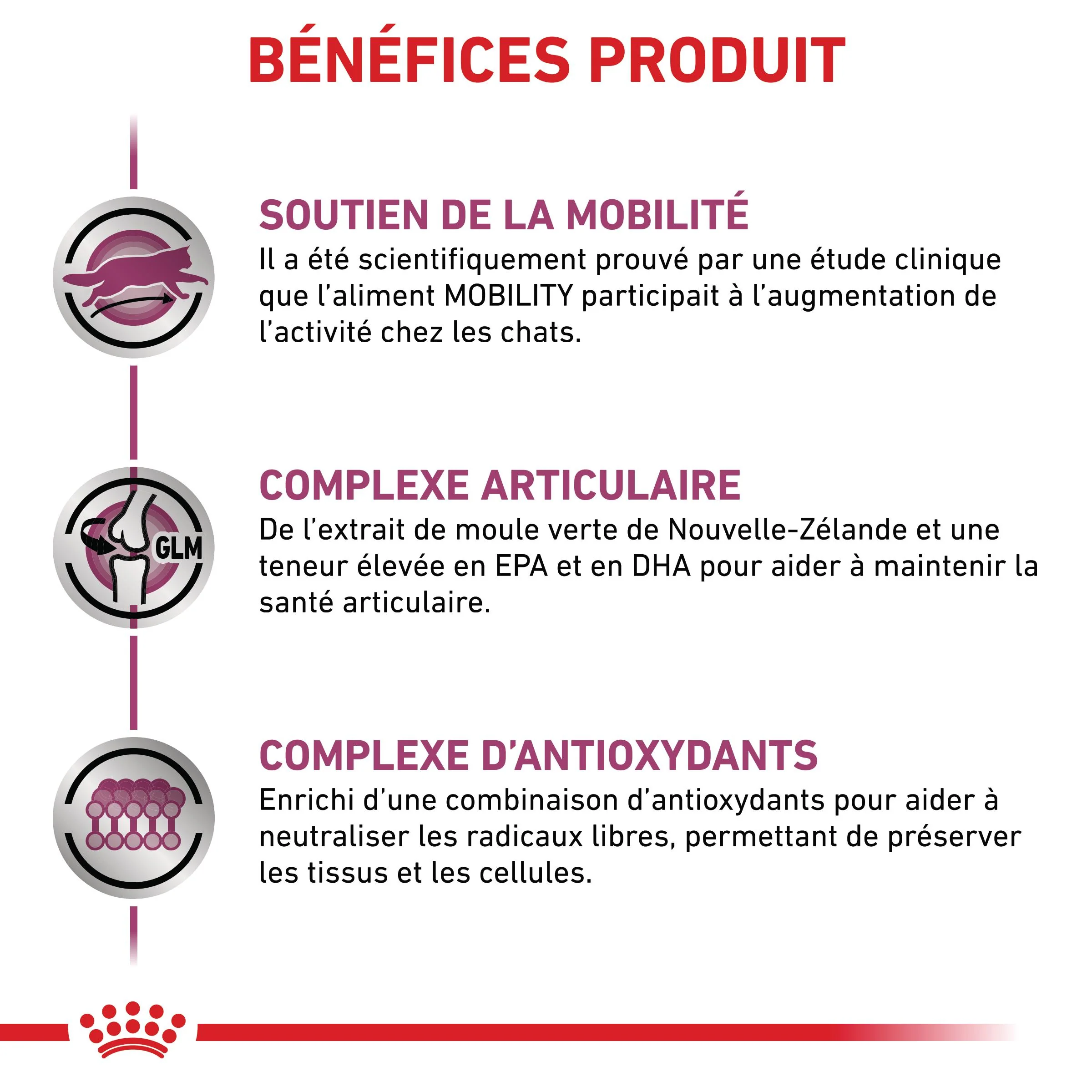 Royal Canin Veterinary Mobility - Image 5