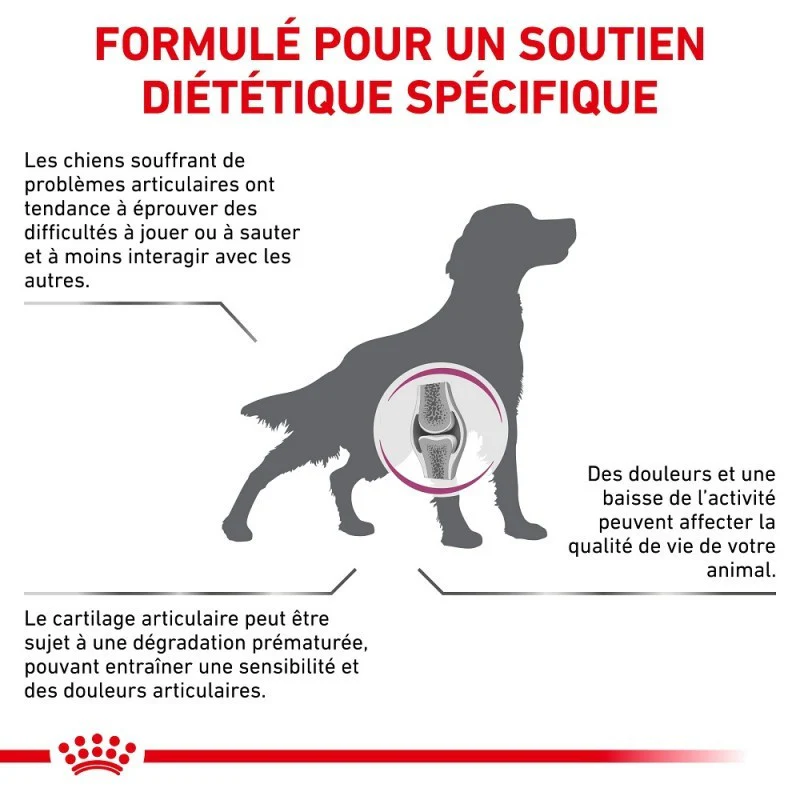 Royal Canin Veterinary Mobility Support - Croquettes pour chien - Image 3