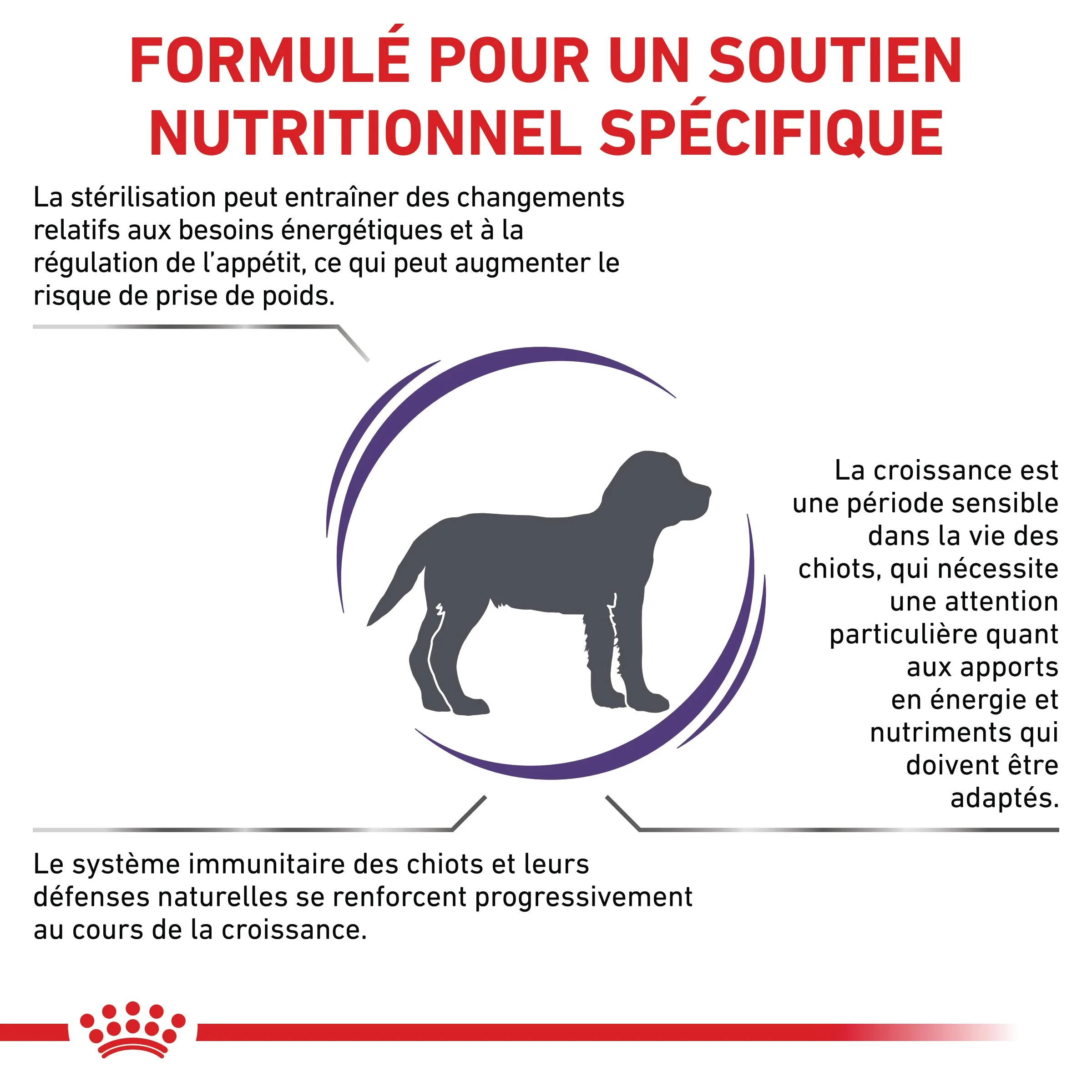 Royal Canin Veterinary Neutered Junior Dog - Croquettes pour chiot - Image 2