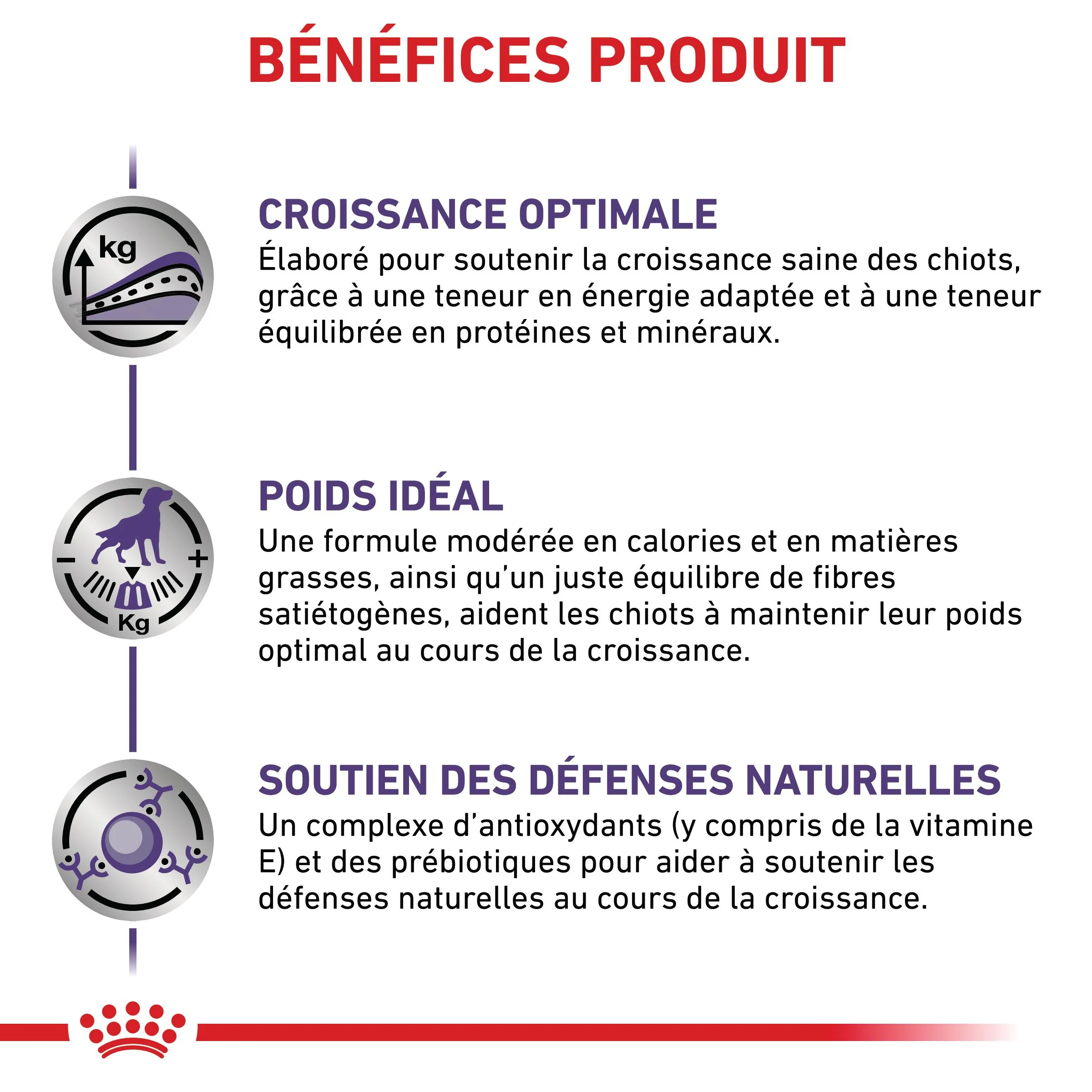 Royal Canin Veterinary Neutered Junior Dog - Croquettes pour chiot - Image 4
