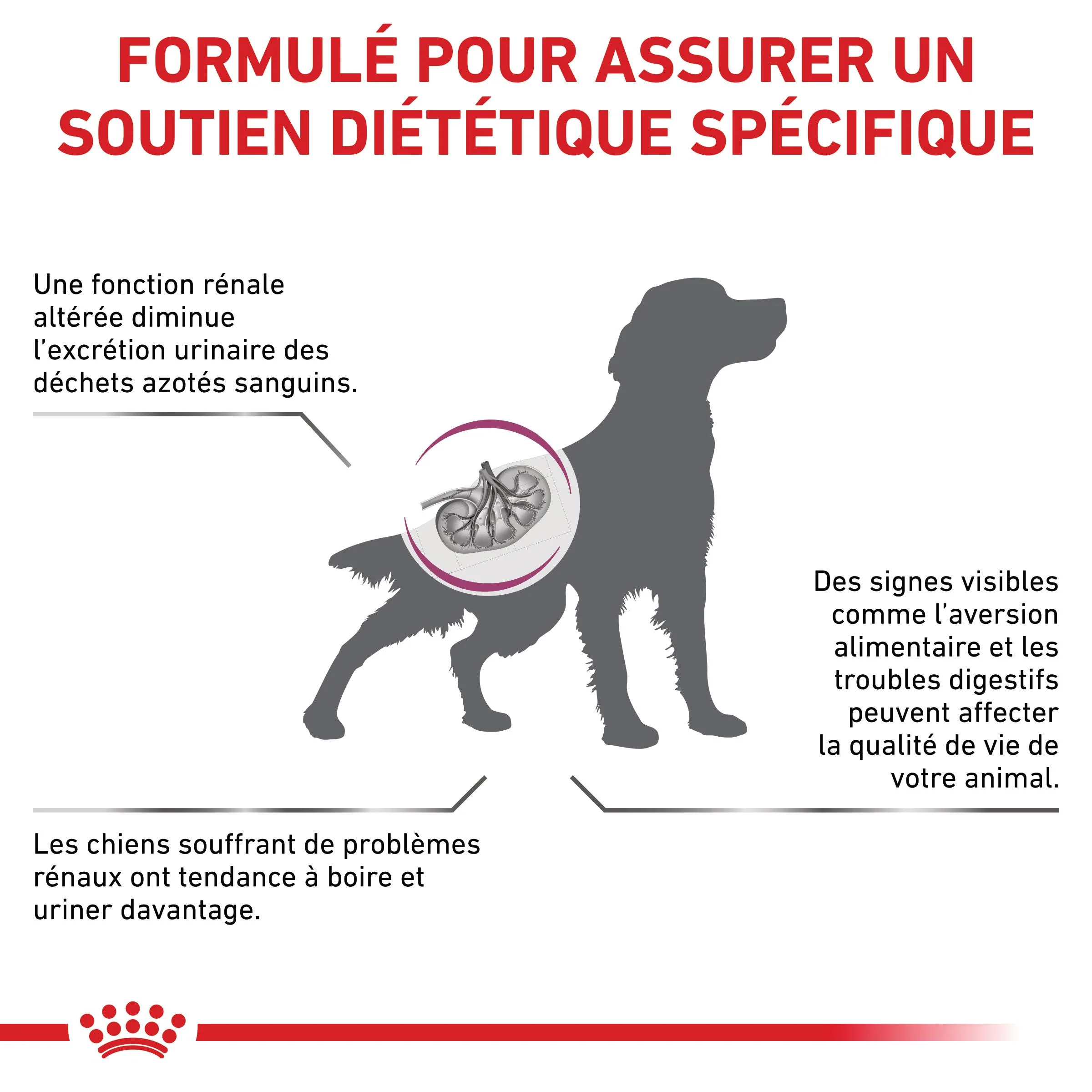 Royal Canin Veterinary Renal Select - Croquettes pour chien - Image 8