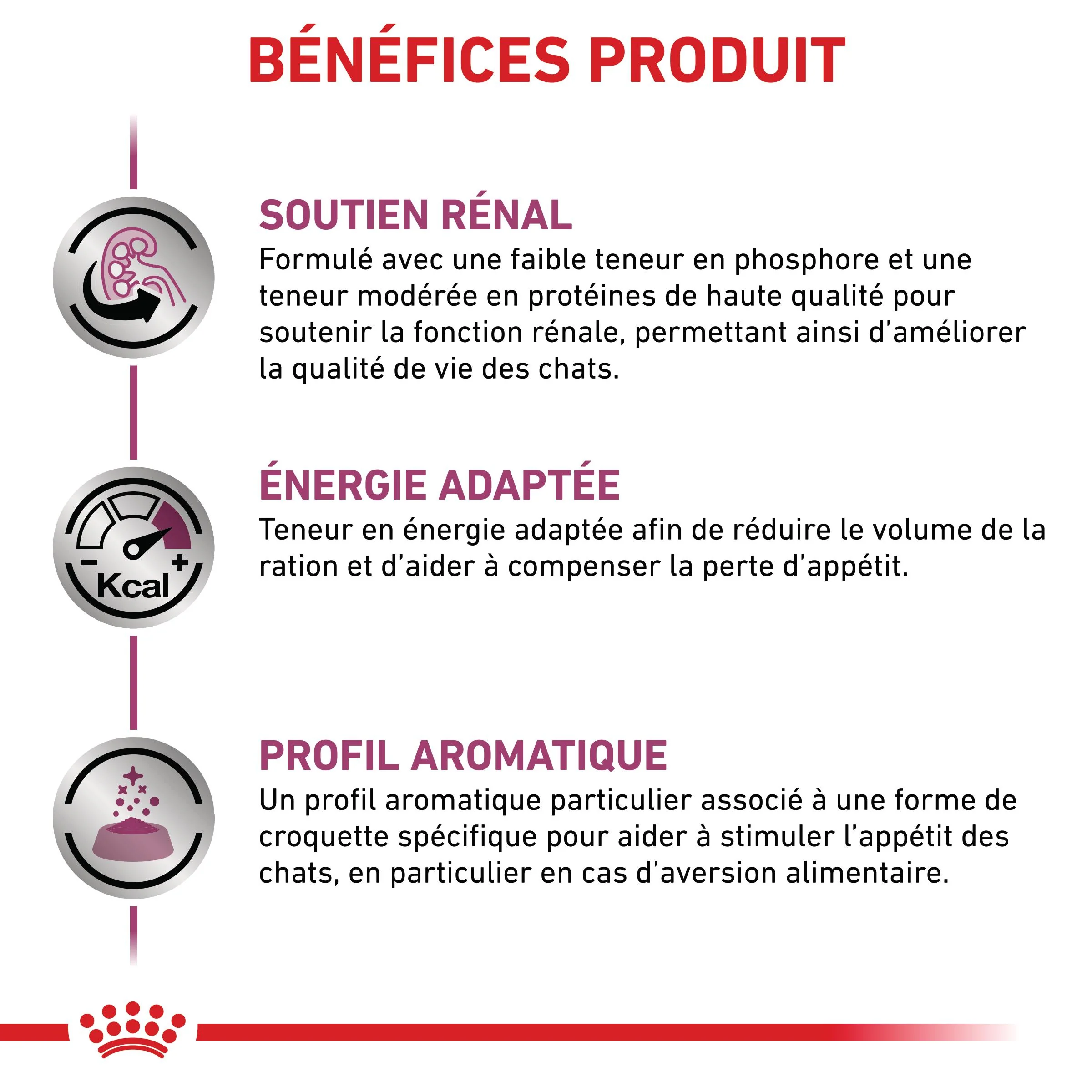 Royal Canin Veterinary Renal Special - Aliment pour chat - Image 3