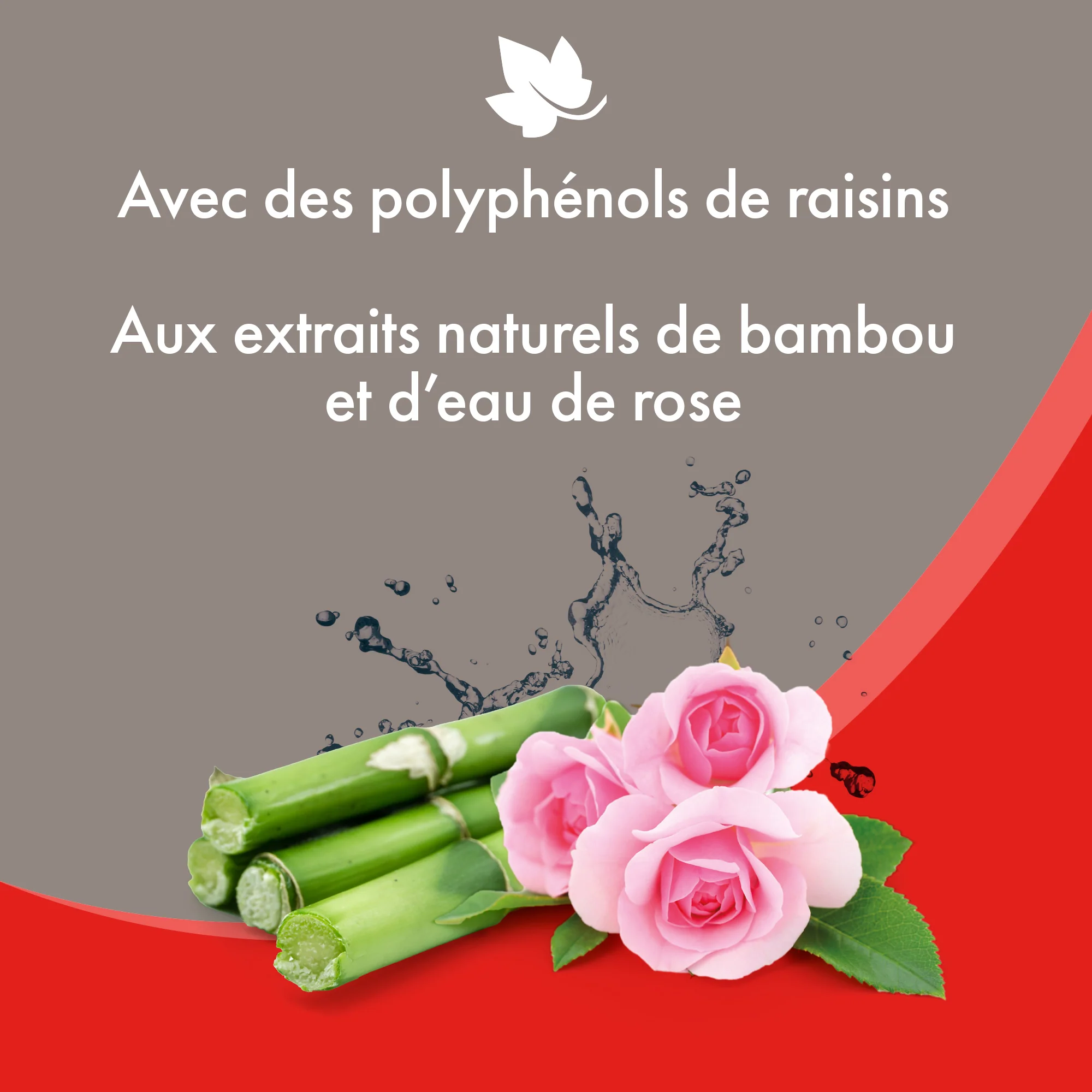 Shampooing sec pour chat - Image 4