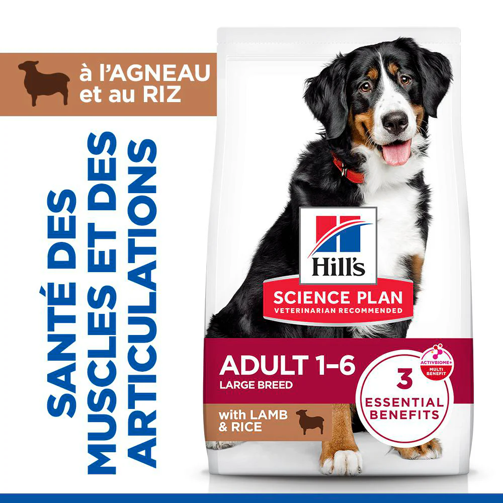Sp Chien Adulte 1-5 Large Lambrice - Image 2