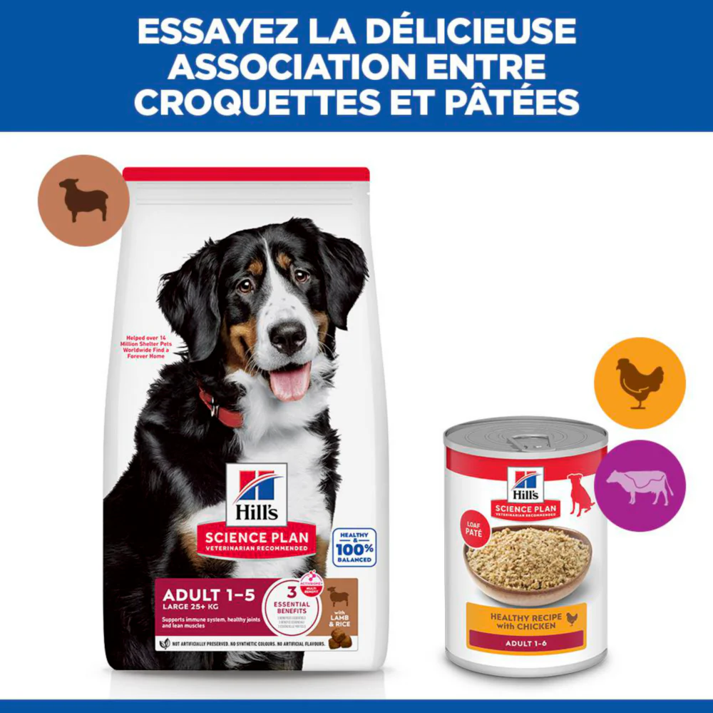 Sp Chien Adulte 1-5 Large Lambrice - Image 4