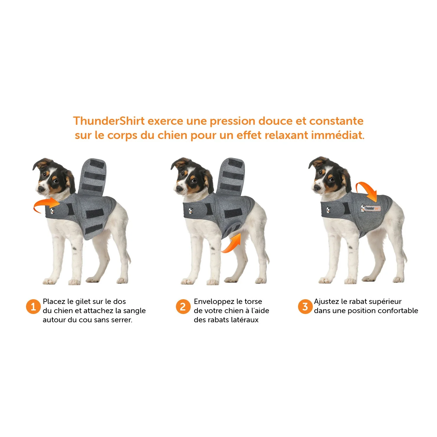 Thundershirt - gilet de compression relaxant - Image 18