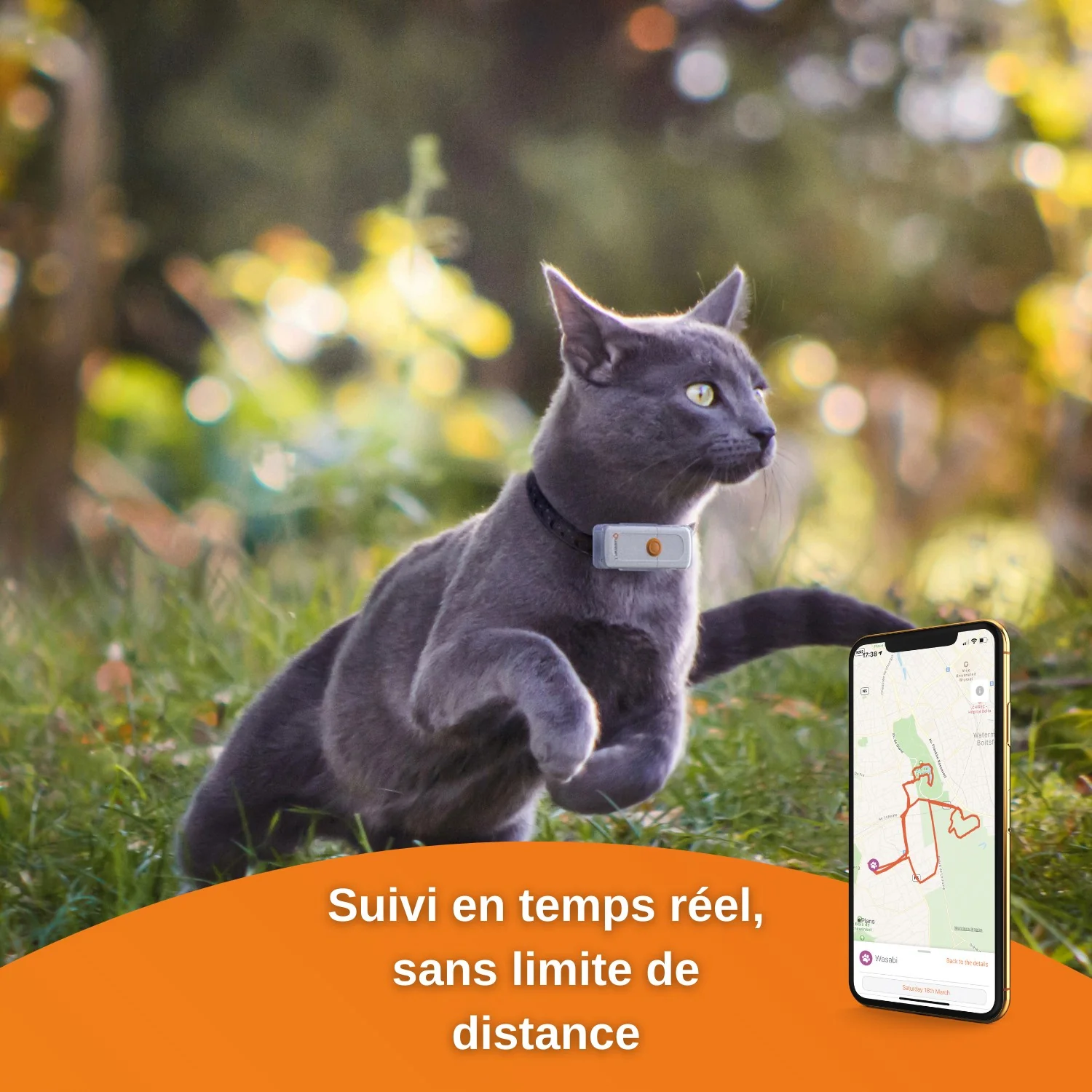 Traceur GPS Cats 2 - Image 3