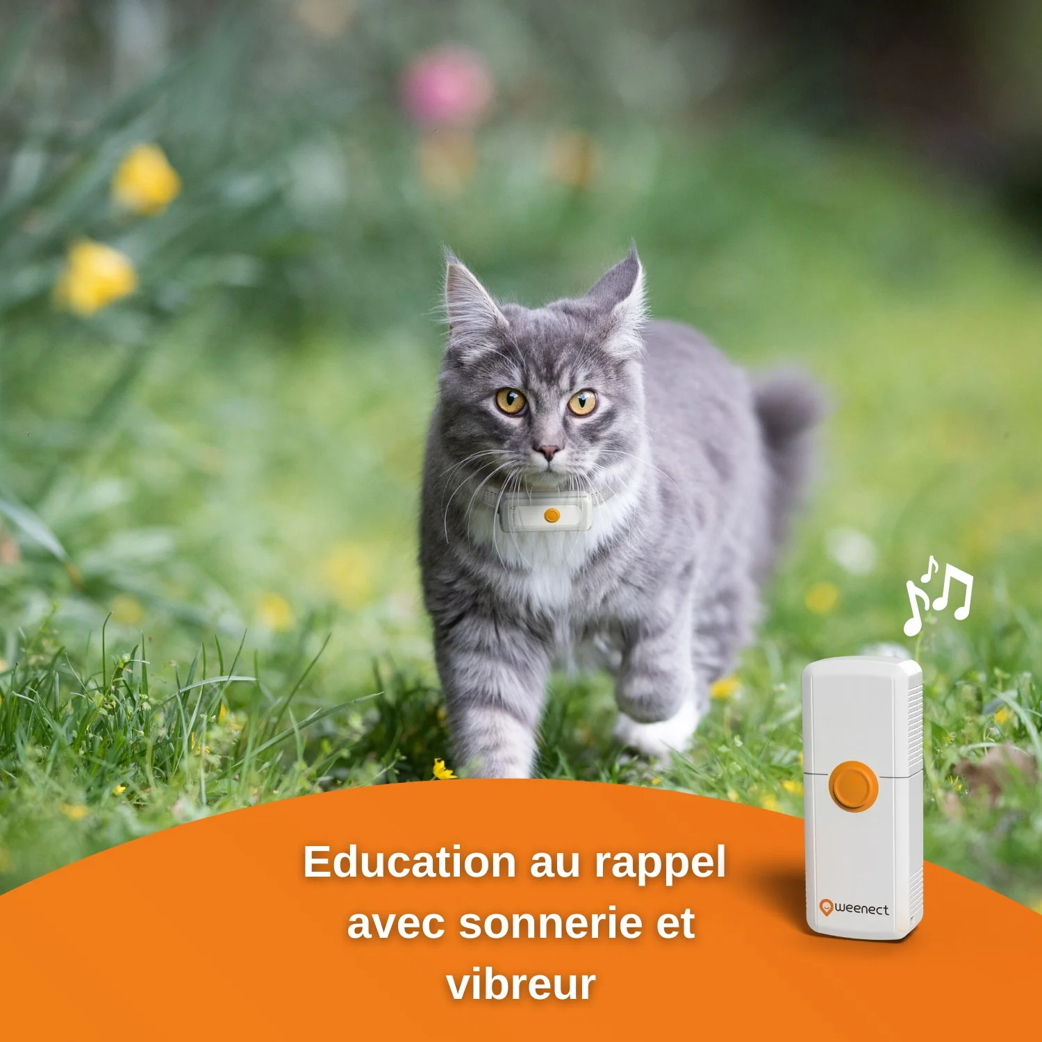 Traceur GPS Cats 2 - Image 4