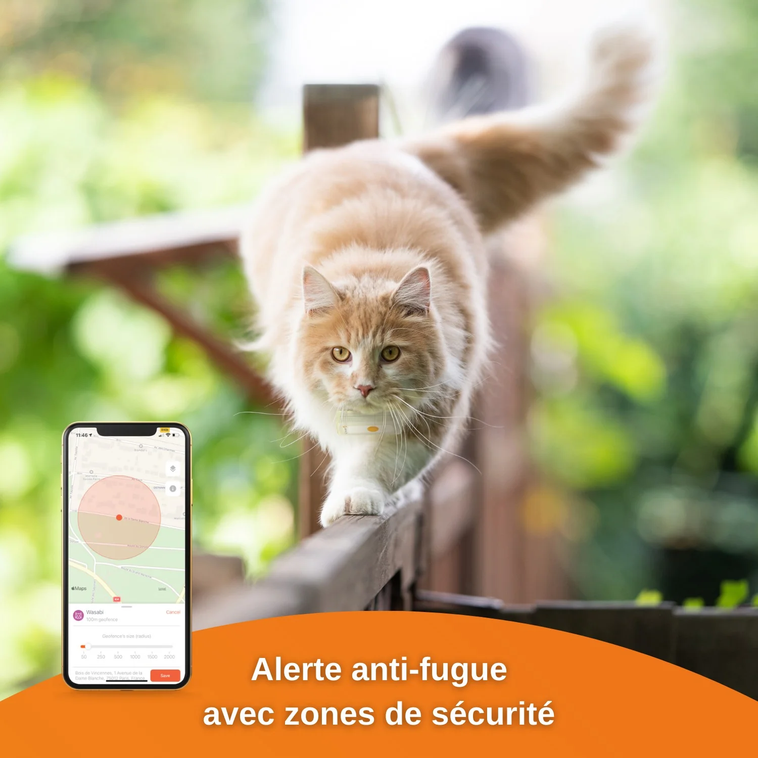 Traceur GPS Cats 2 - Image 7
