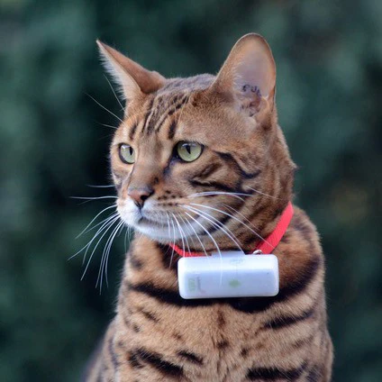 Traceur GPS Cats 2 - Image 9