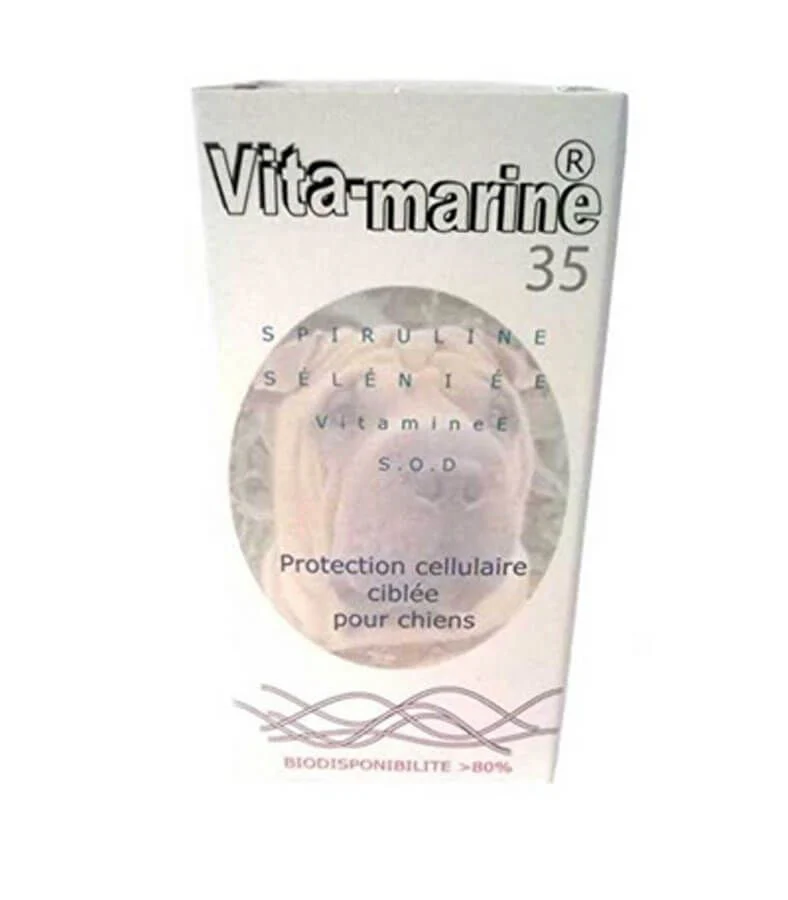 Vita Marine Complément Alimentaire - Image 2