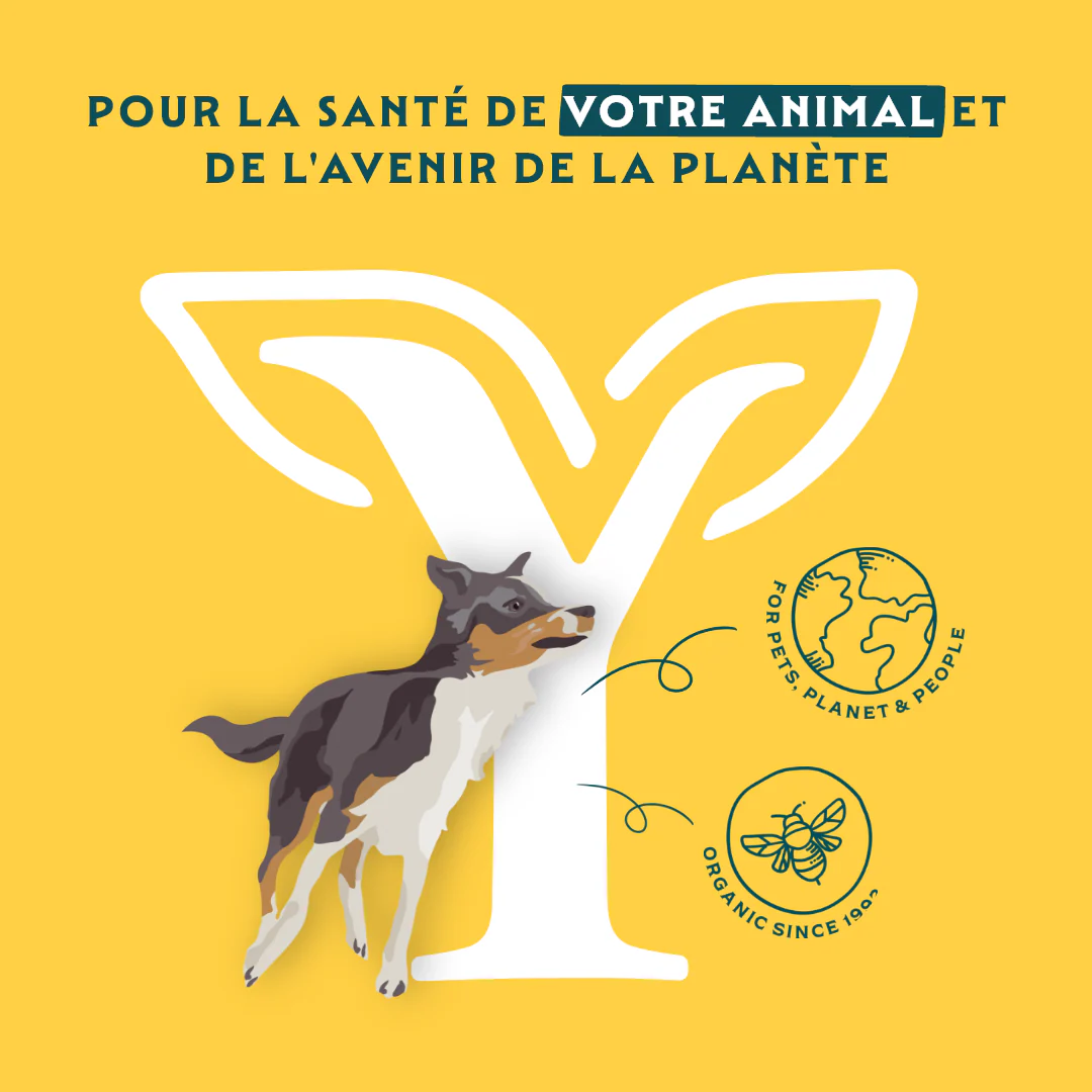 Yarrah biscuits bio végétarien pour petit chien - Image 7