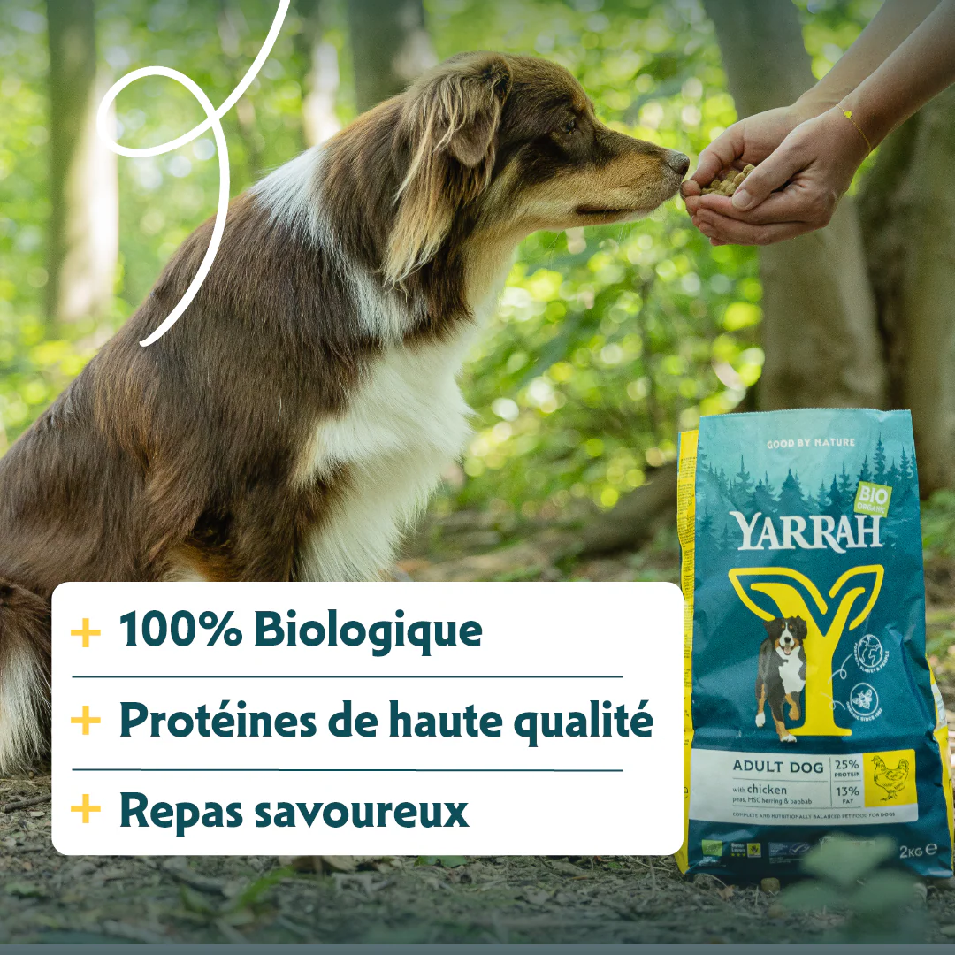 Yarrah croquettes bio pour chien adulte - Image 7