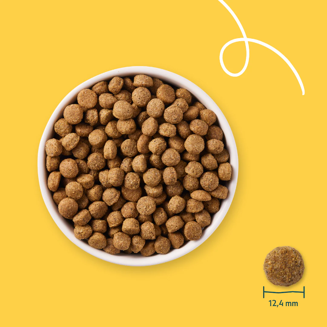 Yarrah croquettes bio pour chien sensible - Image 5