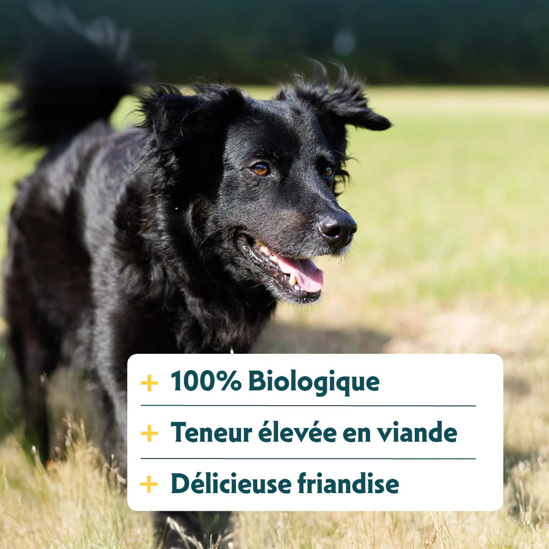 Yarrah sticks à mâcher bio pour chien - Image 4