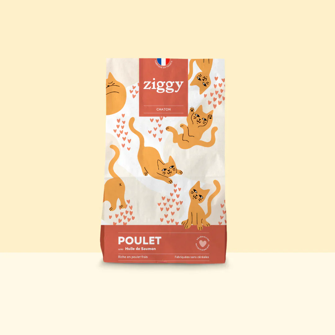 Ziggy Chaton - Poulet - Image 3